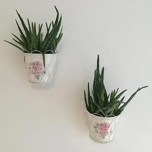 https://wohnung-im-garten.soldenhotels.net